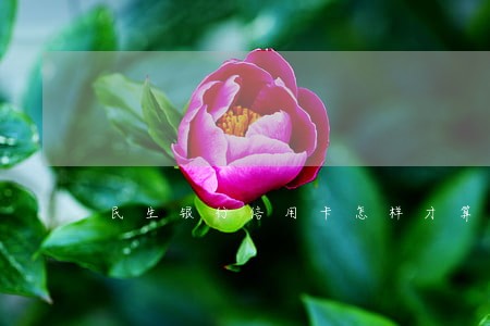 民生银行信用卡怎样才算逾期 民生银行信用卡怎样才算逾期