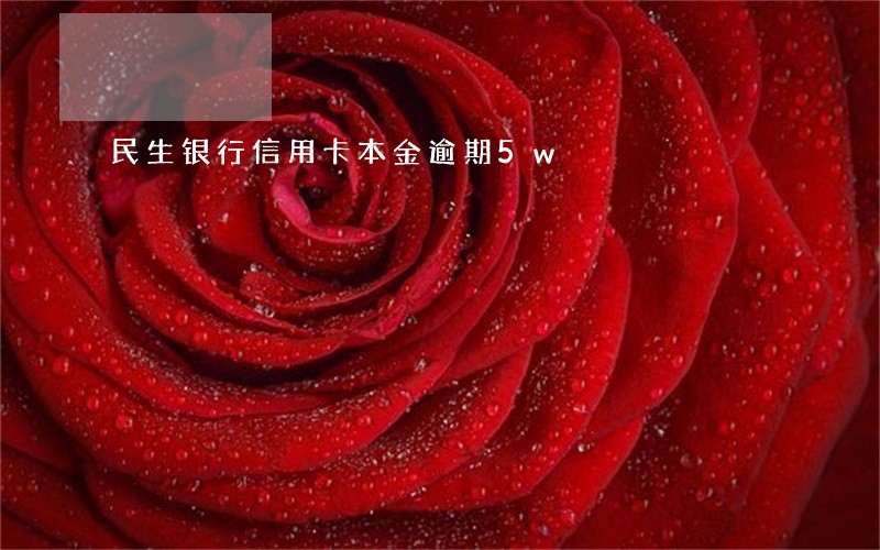 民生银行信用卡本金逾期5w