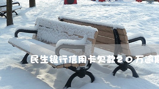 民生银行信用卡欠款20万逾期 民生银行信用卡欠款20万逾期