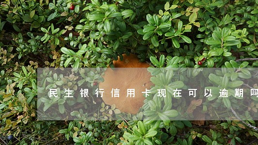 民生银行信用卡现在可以逾期吗 民生银行信用卡现在可以逾期吗