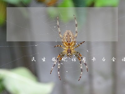 民生银行信用卡白金理财卡逾期 民生银行信用卡白金理财卡逾期