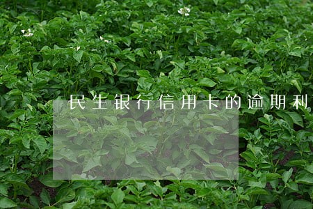 民生银行信用卡的逾期利息