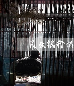 民生银行信用卡能逾期几天 民生银行信用卡能逾期几天