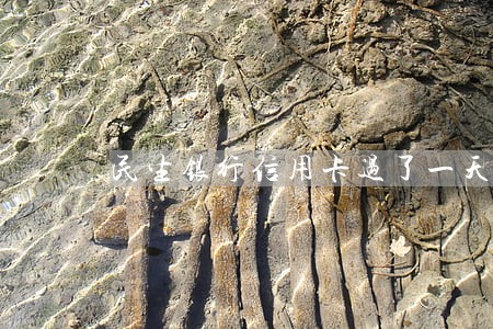 民生银行信用卡过了一天算逾期吗