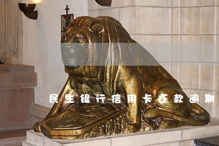 民生银行信用卡还款逾期61天