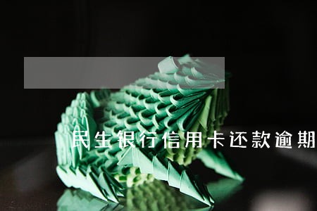 民生银行信用卡还款逾期怎么办