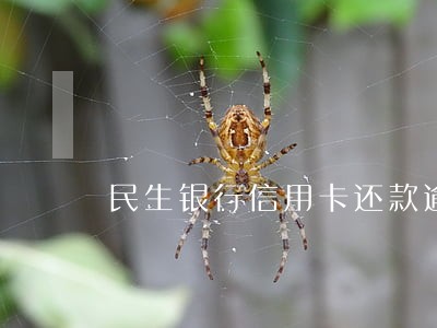 民生银行信用卡还款逾期申请