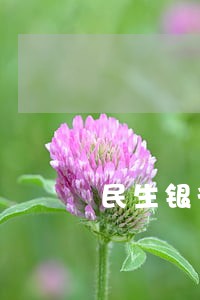 民生银行信用卡逾期11000