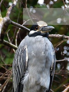 民生银行信用卡逾期1天征信 民生银行信用卡逾期1天征信