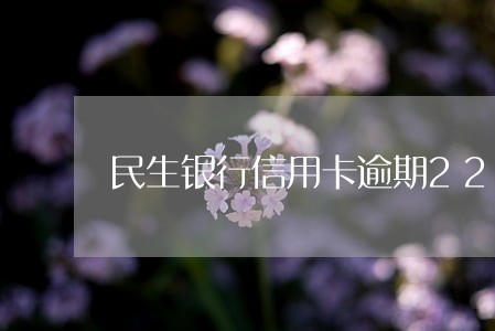 民生银行信用卡逾期22天