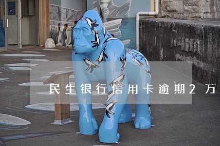 民生银行信用卡逾期2万 民生银行信用卡逾期2万