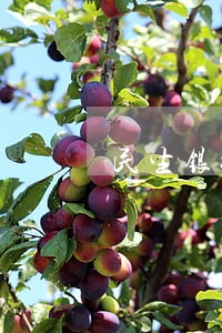 民生银行信用卡逾期2个月 民生银行信用卡逾期2个月