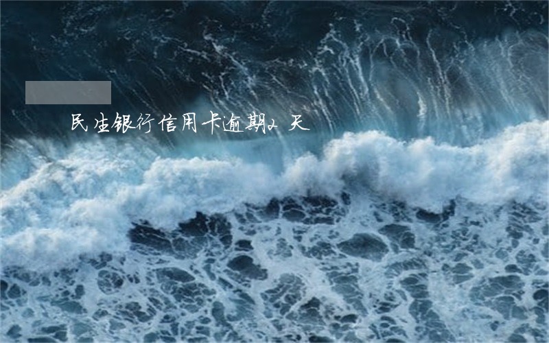 民生银行信用卡逾期2天