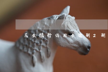 民生银行信用卡逾期2期