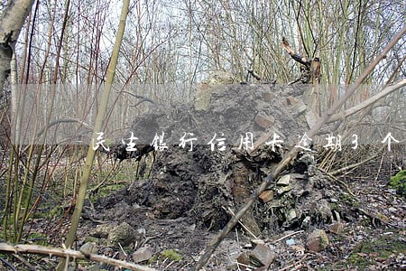 民生银行信用卡逾期3个月停卡 民生银行信用卡逾期3个月停卡