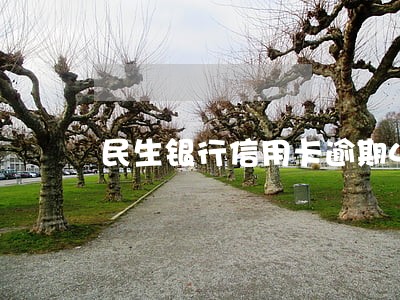 民生银行信用卡逾期4000 民生银行信用卡逾期4000