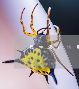 民生银行信用卡逾期40万 民生银行信用卡逾期40万