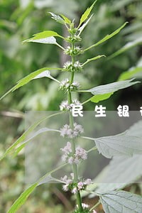 民生银行信用卡逾期50万元