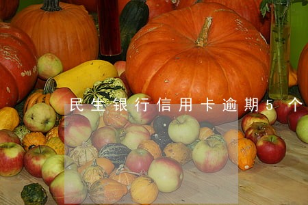 民生银行信用卡逾期5个月立案吗 民生银行信用卡逾期5个月立案吗