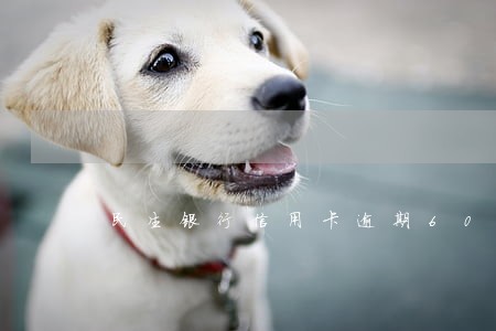 民生银行信用卡逾期6000多