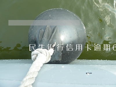 民生银行信用卡逾期60个月 民生银行信用卡逾期60个月