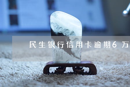 民生银行信用卡逾期6万