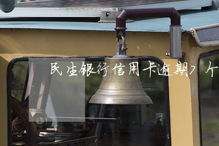 民生银行信用卡逾期7个月 民生银行信用卡逾期7个月