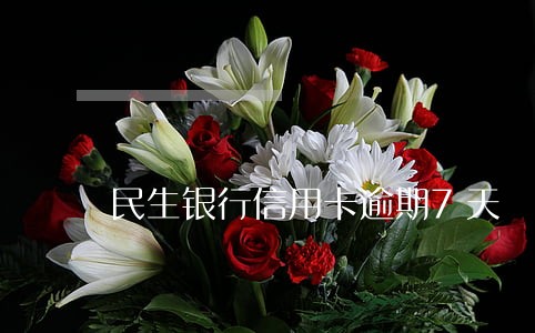 民生银行信用卡逾期7天 民生银行信用卡逾期7天