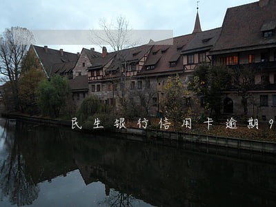 民生银行信用卡逾期9个月了 民生银行信用卡逾期9个月了