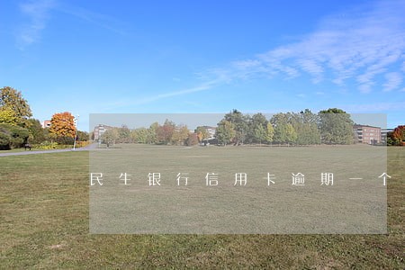 民生银行信用卡逾期一个月停了