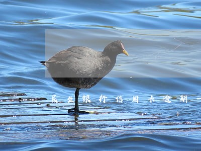 民生银行信用卡逾期一天算不算 民生银行信用卡逾期一天算不算