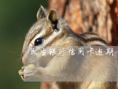 民生银行信用卡逾期一天还款后果 民生银行信用卡逾期一天还款后果