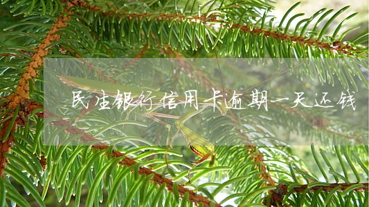 民生银行信用卡逾期一天还钱 民生银行信用卡逾期一天还钱