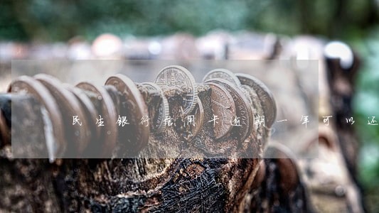 民生银行信用卡逾期一年可以还吗 民生银行信用卡逾期一年可以还吗