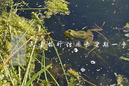 民生银行信用卡逾期一年未还款 民生银行信用卡逾期一年未还款