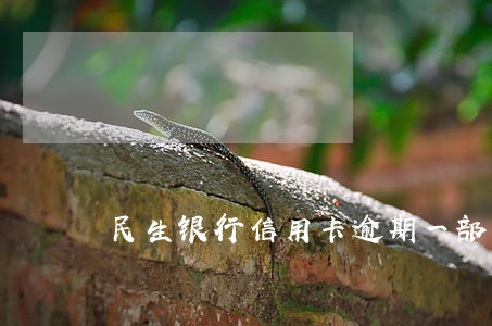 民生银行信用卡逾期一部分会怎样