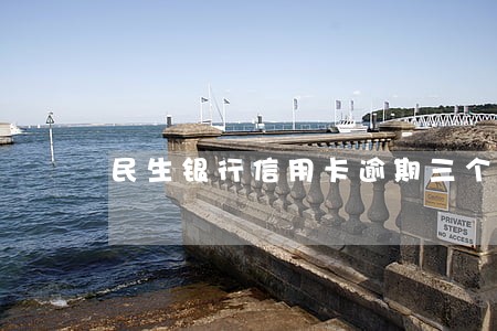 民生银行信用卡逾期三个月了