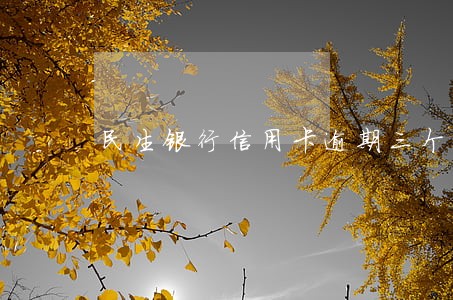民生银行信用卡逾期三个月会怎样 民生银行信用卡逾期三个月会怎样