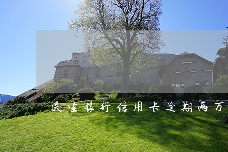 民生银行信用卡逾期两万多 民生银行信用卡逾期两万多