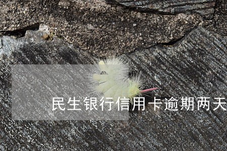 民生银行信用卡逾期两天要利息吗