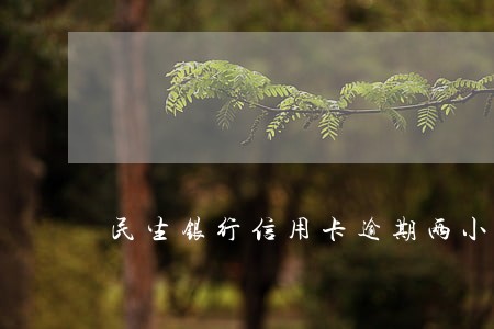 民生银行信用卡逾期两小时