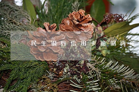 民生银行信用卡逾期两年了 民生银行信用卡逾期两年了