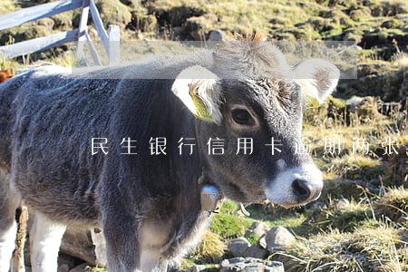 民生银行信用卡逾期两张 民生银行信用卡逾期两张