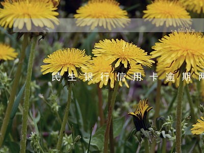 民生银行信用卡逾期两月 民生银行信用卡逾期两月
