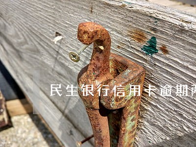 民生银行信用卡逾期两期会被停吗 民生银行信用卡逾期两期会被停吗