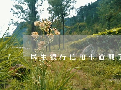 民生银行信用卡逾期了打电话 民生银行信用卡逾期了打电话