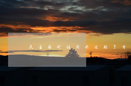 民生银行信用卡逾期了有 民生银行信用卡逾期了有