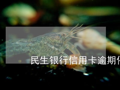 民生银行信用卡逾期催告 民生银行信用卡逾期催告