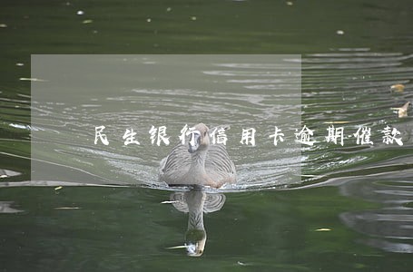 民生银行信用卡逾期催款 民生银行信用卡逾期催款