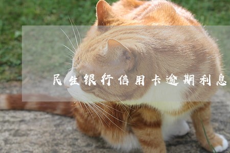 民生银行信用卡逾期利息 民生银行信用卡逾期利息